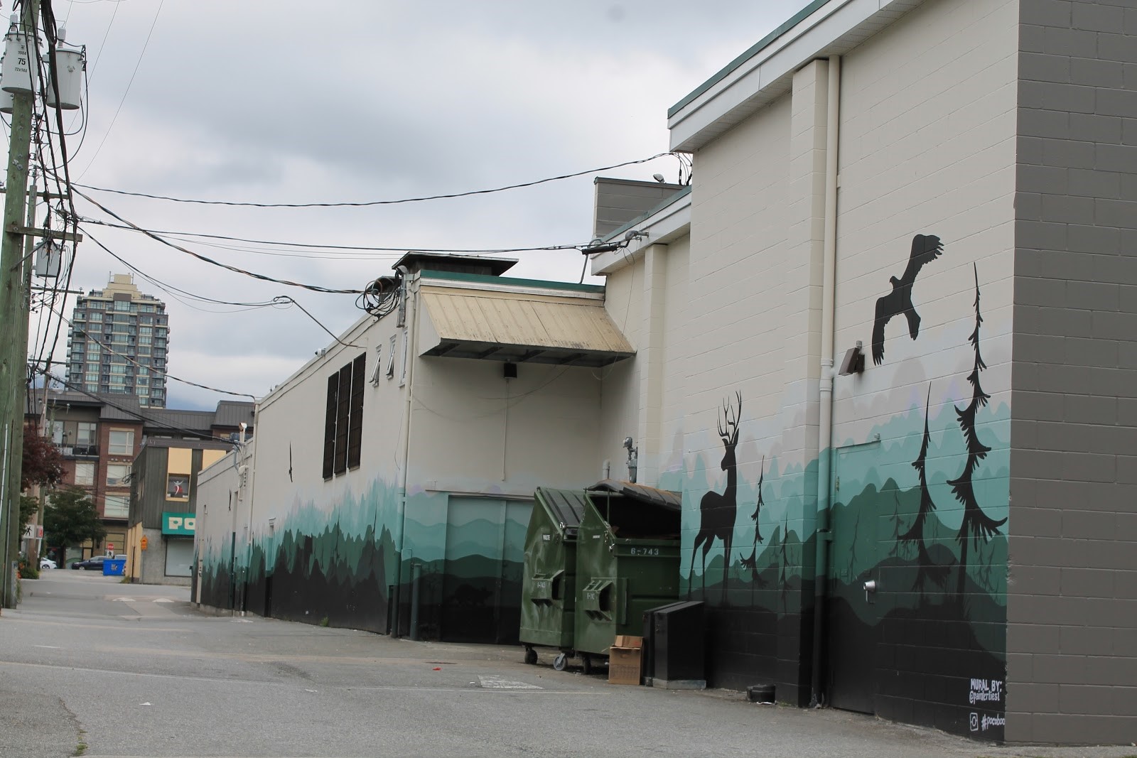 A photo of an alleyway with a mural painted on the back walls of a set of buildings. The #pocoboo mural is pale blue, green, and black, and shows a landscape with trees, deer, and a bird.