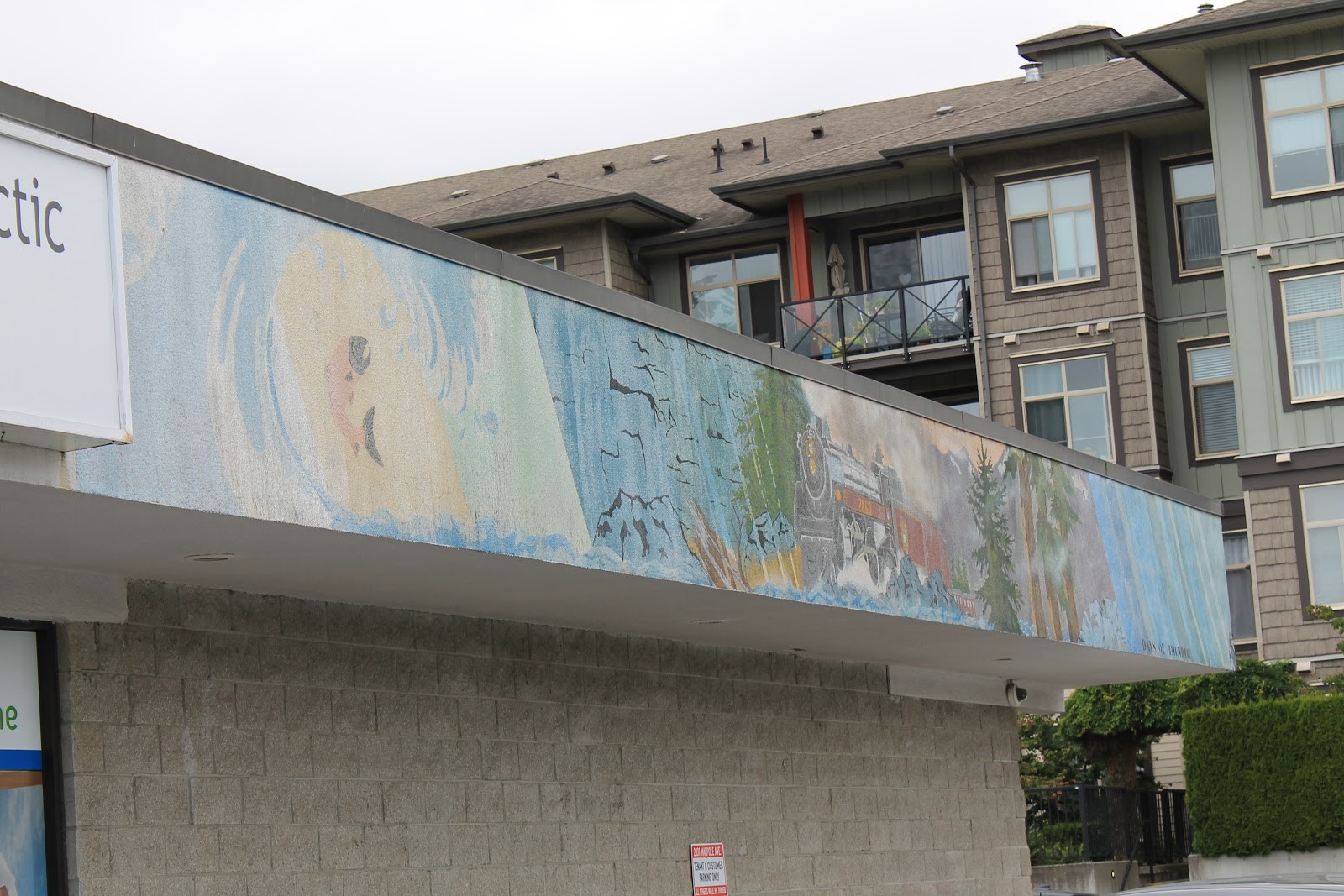 A photo of a mural on the upper part of a store's wall. The Days of Thunder mural shows a salmon, a mountain, a train, and some trees.