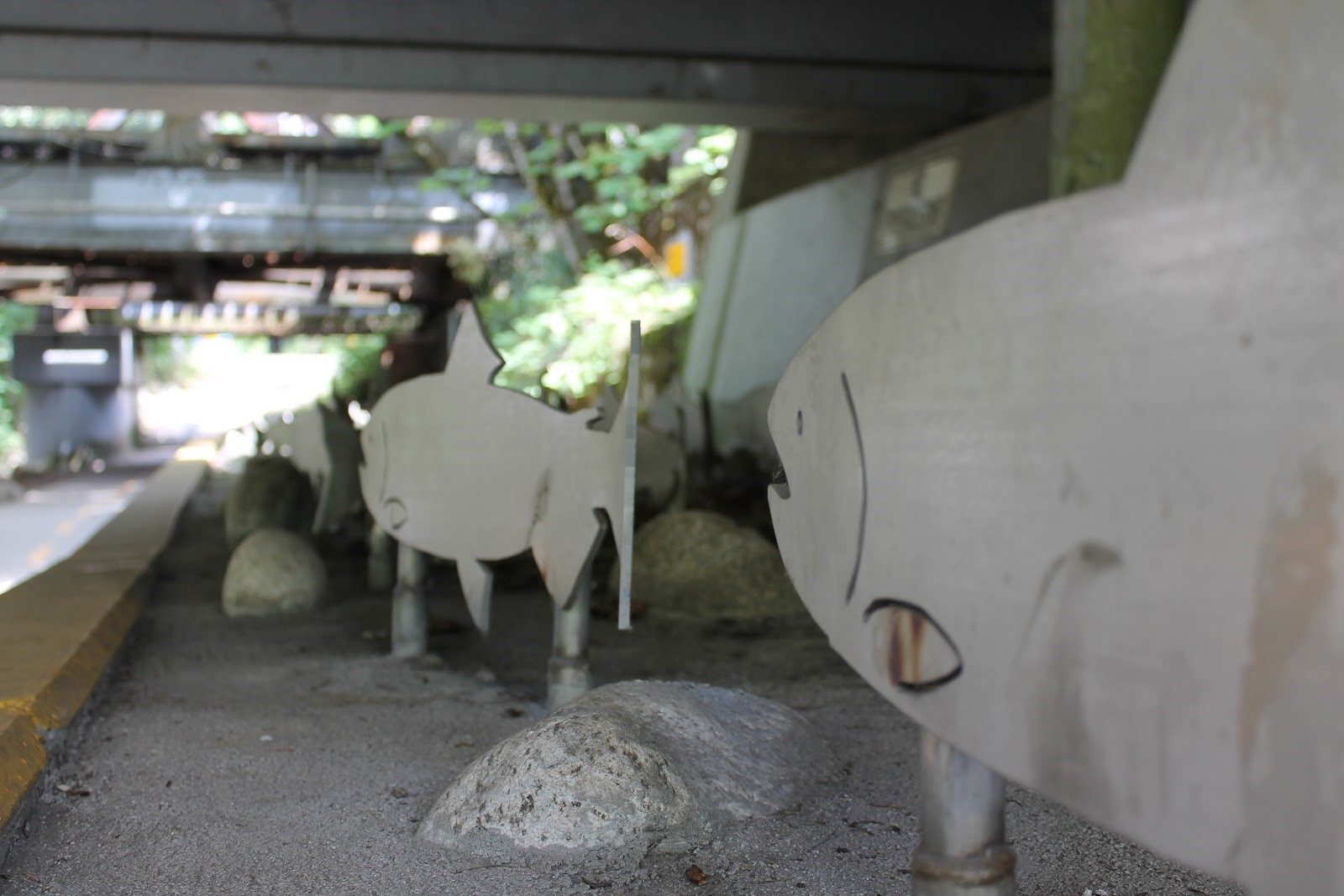 A photo of the underside of a bridge, where several metallic salmon statues are sticking up out of a ledge that looks like a riverbed.