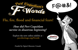 Port Coquitlam  Port Coquitlam's F-Words: Flu, Fire, Flood and Financial  Fears